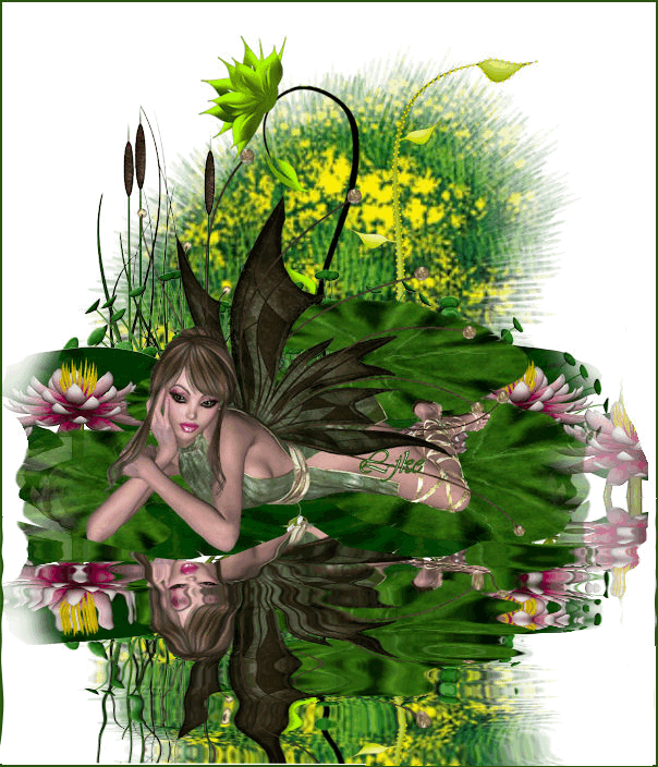 Fairies Images on Fanpop.