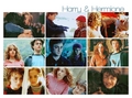 Harry/Hermione Picspam - harry-potter fan art