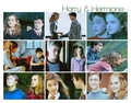 Harry/Hermione Picspam - harry-potter fan art