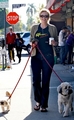 Jane out walking her dogs - glee photo