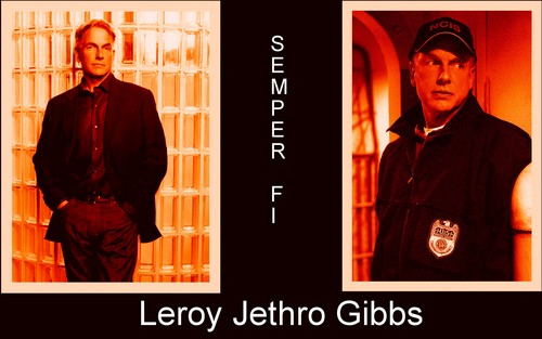  Leroy Jethro Gibbs