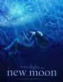 New Moon Fanmade Poster - twilight-series photo
