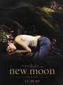 New Moon Fanmade Poster - twilight-series photo