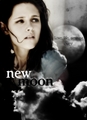 New Moon fanmade posters - new-moon-movie fan art
