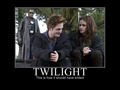 Twilight Funny :D - twilight-series photo
