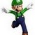  No! I like Luigi better!
