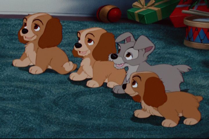 Did you expect Lady and Tramp to have puppies? Poll