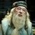  Professore Dumbledore