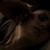  Watching Elena Sleep (1x03)