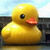 Biggest Rubber Ducky Ever!!