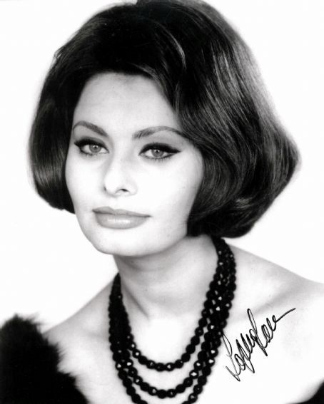 Pics Photos - Sophia Loren Hairstyles