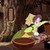  The one in forest cottage (Sleeping Beauty )