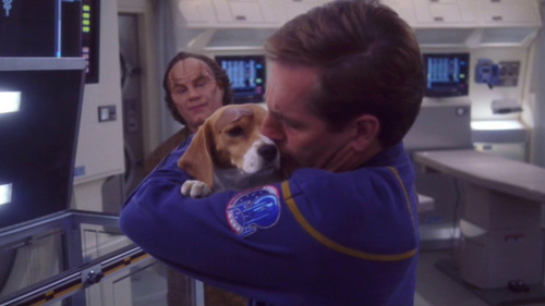  What is the name of Captain Archer's beagle?