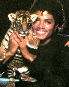  How many animales of Michael's were publicly seen??