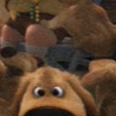  What is the color of the nose of Dug's mate?