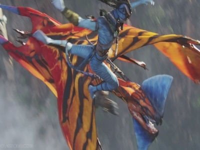  Jake successfully tames a Leonopteryx (Toruk), which a Na’vi has yet to accomplish in ______ generations.