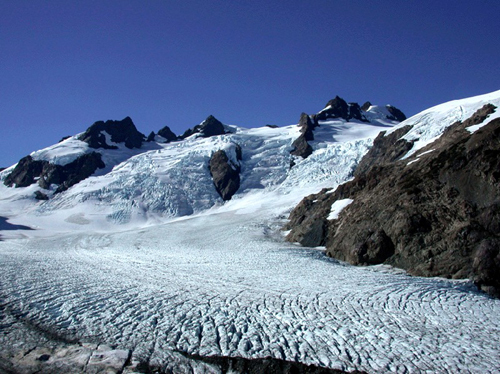 T/F: Washington state has more glaciers than the other 47 contiguous states combined. 