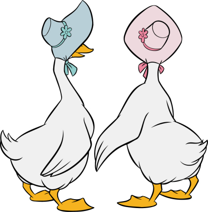 What are the names of these two Disney geese ?