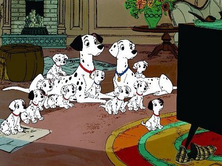 Who is the star of the puppies' favorite television show?