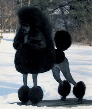Standard poodles can make good hunting dogs ?