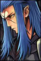 True or False? Saix is amung the few members to fight both Sora and Roxas.