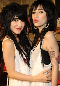  The Veronicas has gone on tour with which band?