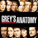  Which Grey's Anatomy actor was in the movie Freedom Writers with Oscar winner Hillary Swank?