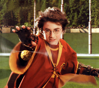  Is Harry the youngest seeker in a century? (movie)