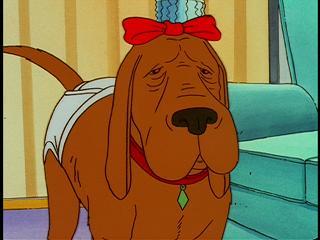 What is the name of the dog in 'King of the Hill ' ?