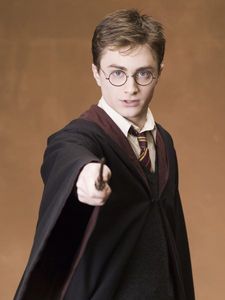 Which of his parents did Harry inherrit his Quiddtich skills from?
