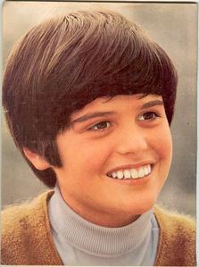  True o False: Donny is the youngest Osmond.