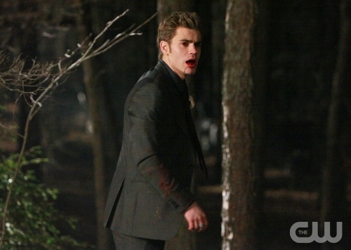  Who Did Stefan Attack In "Miss Mystic Falls"?