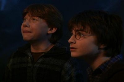 'Can you believe our luck? Of all the trees we could've hit, he had to get one that hits back.' What tree was Ron refering to in the book COS?