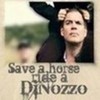 save a horse ride a DiNozzo haha thats hilarious DiNozzosShorty photo