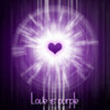 Love is purple  TavenNVM photo