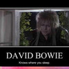 David Bowie sexyspike1 photo
