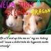these r my guinea-pigs, the 1 2 da > is rose (she died) and flower, 2 da < harrypotter-rox photo