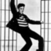 Elvis Dancing to the Jailhouse Rock hellokitty8828 photo