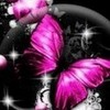 pink buterfly!! alexandra_ photo