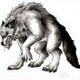Snowywerewolf's photo