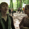 Ron and Hermione DH Ash24 photo