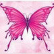 pinkbutterfly's photo