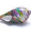 I love using paint pen to sketch on shells!  18marras photo