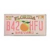 florida license plate edited/recolored by tabitha ♥ tabulouscouture photo