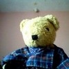 This is my teddy bear Big Ben sehdt photo