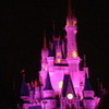 Cinderella Castle at night.  I