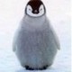 penguin_090993