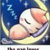 the nap lover Random9747649 photo