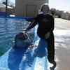 This picture was taken right before my Dolphin Dunk swim session.  :3 IamAngel624 photo