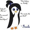 (Me!) Icicle...yes, I have a scar... Icicle1penguin photo